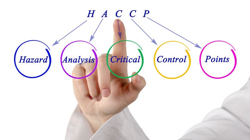 Consulente per le aziende alimentari e metodo HACCP